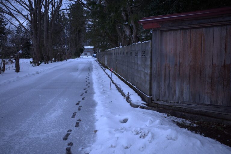 秋田犬應該禁止嗎？