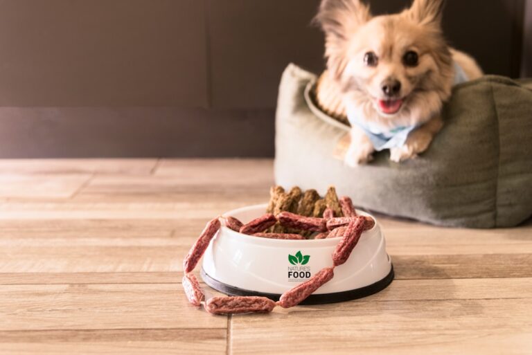 德國牧羊犬食物過敏怎麼辦