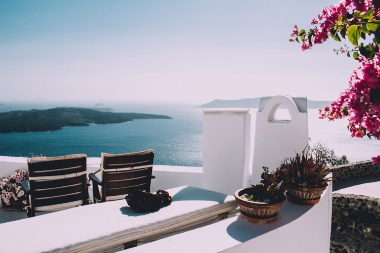 與拳師犬一起旅行的提示