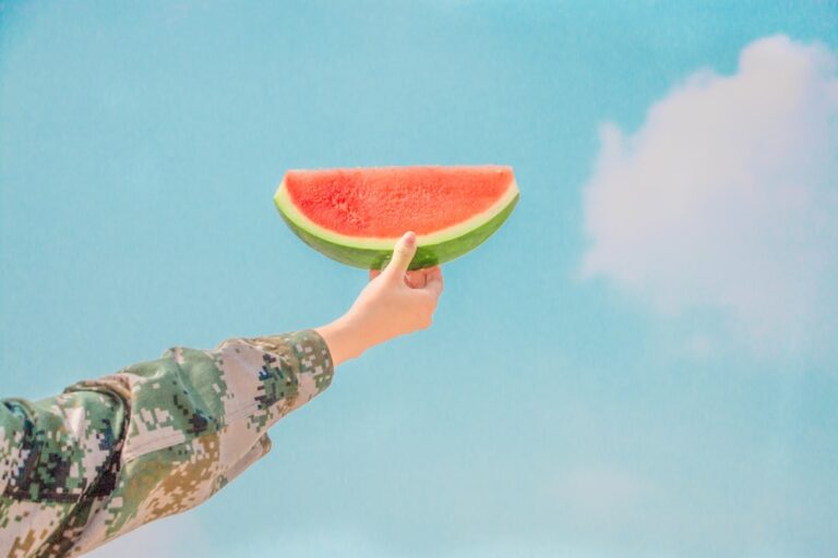 夏季照顧大丹犬：如何保持涼爽